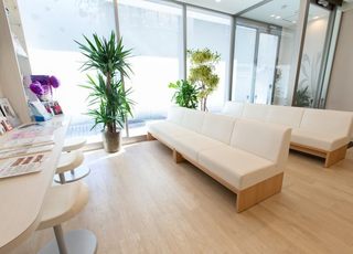湘南藤沢形成外科クリニックＲ 藤沢駅 白いソファや観葉植物が置かれた明るく温かみのある待合室ですの写真