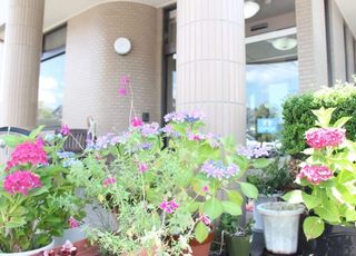 さとう内科循環器科 緑井駅 四季の花がリラックスさせてくれますの写真