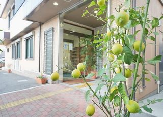 はやべ眼科 和泉大宮駅 医院入口。檸檬や季節の植物を植えていますの写真
